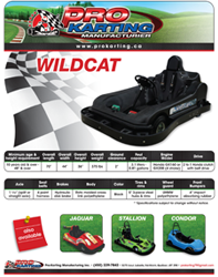 Pro Karting Go-Kart flyer